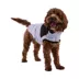GF PET Elasto-Fit Diamond Quilted Dog Puffer Jacket image thumbnail 1