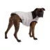 GF PET Elasto-Fit Diamond Quilted Dog Puffer Jacket image thumbnail 1