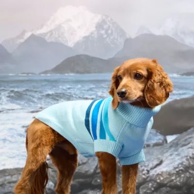GF PET Coastline Striped Knit Dog Sweater - Image 5