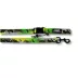 Rocky Mountain Dog - Kootenay Summer All Mountain Dog Leash image thumbnail 1