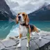 Rocky Mountain Dog - Kootenay Summer All Mountain Dog Leash image thumbnail 3