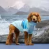 GF PET Coastline Striped Knit Dog Sweater image thumbnail 4