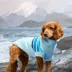 GF PET Coastline Striped Knit Dog Sweater image thumbnail 5
