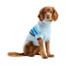 GF PET Coastline Striped Knit Dog Sweater image thumbnail 1