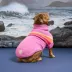 GF PET Coastline Striped Knit Dog Sweater image thumbnail 4