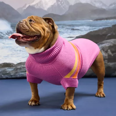 GF PET Coastline Striped Knit Dog Sweater - Image 5