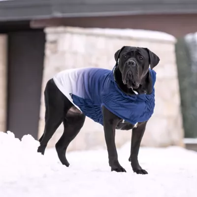 GF PET Elasto-Fit Good Vibes Gradient Dog Hoodie - Image 5