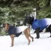 GF PET Elasto-Fit Good Vibes Gradient Dog Hoodie image thumbnail 7