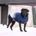 GF PET Elasto-Fit Good Vibes Gradient Dog Hoodie image thumbnail 5