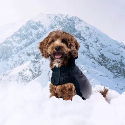 GF PET Elasto-Fit Good Vibes Gradient Dog Hoodie - Image 4