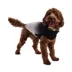 GF PET Elasto-Fit Good Vibes Gradient Dog Hoodie image thumbnail 1