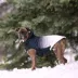 GF PET Elasto-Fit Good Vibes Gradient Dog Hoodie image thumbnail 6