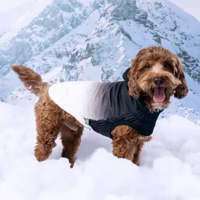 GF PET Elasto-Fit Good Vibes Gradient Dog Hoodie - Image 5
