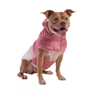 GF PET Elasto-Fit Good Vibes Gradient Dog Hoodie - Image 1