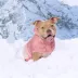GF PET Elasto-Fit Good Vibes Gradient Dog Hoodie image thumbnail 4