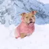 GF PET Elasto-Fit Good Vibes Gradient Dog Hoodie image thumbnail 4