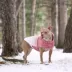 GF PET Elasto-Fit Good Vibes Gradient Dog Hoodie image thumbnail 5