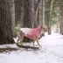 GF PET Elasto-Fit Good Vibes Gradient Dog Hoodie image thumbnail 6