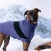 GF PET Catalyst Colorblock Knit Dog Sweater image thumbnail 4