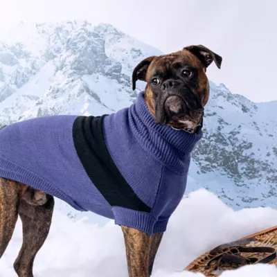 GF PET Catalyst Colorblock Knit Dog Sweater - Image 4