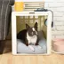 Fable Pets Essential Crate W/ Generous Air Flow, Easy-to-Clean Materials & Durable- White & Tan image thumbnail 3