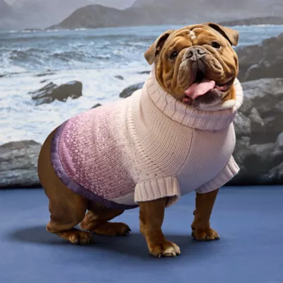 GF PET Fisherman Chunky Knit Dog Sweater - Image 4
