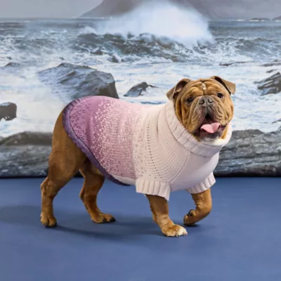 GF PET Fisherman Chunky Knit Dog Sweater - Image 5