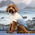 GF PET Fisherman Chunky Knit Dog Sweater image thumbnail 5