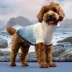GF PET Fisherman Chunky Knit Dog Sweater image thumbnail 4