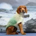 GF PET Fisherman Chunky Knit Dog Sweater image thumbnail 4