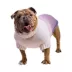 GF PET Fisherman Chunky Knit Dog Sweater image thumbnail 1