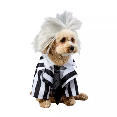 Rubies Pet Shop Beetlejuice Pet Costume for Dogs - Image 1