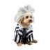 Rubies Pet Shop Beetlejuice Pet Costume for Dogs image thumbnail 1