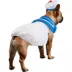 Rubies Pet Shop Ghostbusters Stay Puft Marshmallow Man Pet Costume for Dogs image thumbnail 3