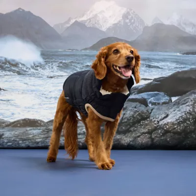 GF PET Elasto-Fit Cold Mountain Quilted Dog Puffer - Image 6