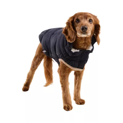 GF PET Elasto-Fit Cold Mountain Quilted Dog Puffer - Image 1