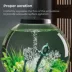 biOrb® Air Stone - Aquarium Fish Tank Air Aeration - 1 Count image thumbnail 3