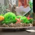 biOrb® Cleaning Pads - Acrylic Aquarium Fish Tank Lint Free Non-Abrasive Pads - 3 Count image thumbnail 2