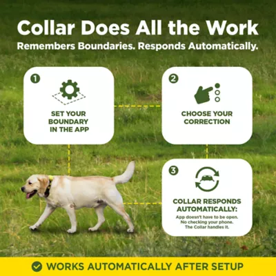 Dogtra GPS Fence Wireless System W/ Customizable Boundaries, No Installation Needed - Image 6
