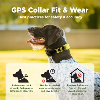 Dogtra GPS Fence Wireless System W/ Customizable Boundaries, No Installation Needed - Image 8