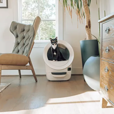 Litter-Robot® EVO Automatic Self-Cleaning Cat Litter Box by Whisker - Image 3