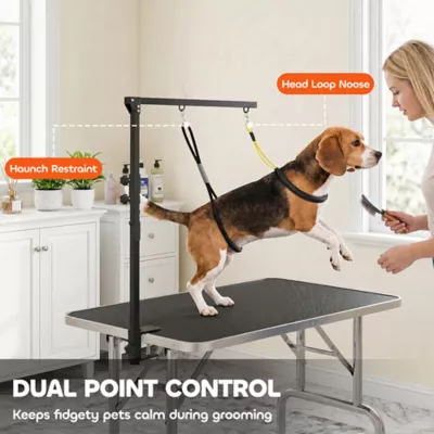 PawHut Dog Grooming Arm with Clamp, Adjustable, Foldable, 2 Loops - Black - Image 4