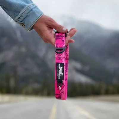 Rocky Mountain Dog Cascade Alpine Collar - Image 3