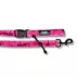 Rocky Mountain Dog Cascade All Mountain Leash image thumbnail 1