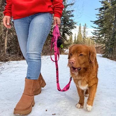 Rocky Mountain Dog Cascade All Mountain Leash - Image 2