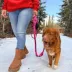Rocky Mountain Dog Cascade All Mountain Leash image thumbnail 2