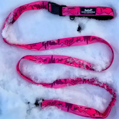 Rocky Mountain Dog Cascade All Mountain Leash - Image 3