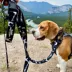 Rocky Mountain Dog Grizzly All Mountain Leash image thumbnail 3
