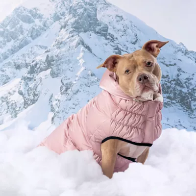 GF PET Elasto-Fit Lunar Glow Sherpa-Lined Dog Parka - Image 6