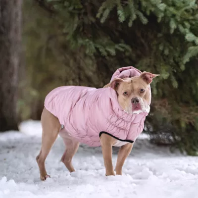 GF PET Elasto-Fit Lunar Glow Sherpa-Lined Dog Parka - Image 7